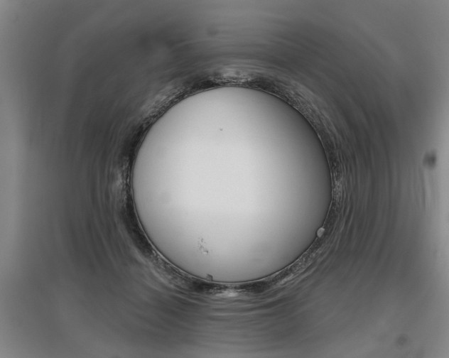 X0000095920460200801110859