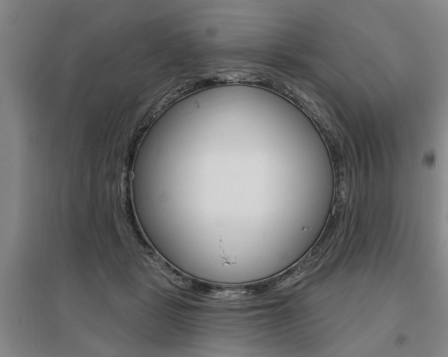 X0000095920461200801110859
