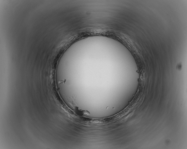 X0000095920462200801110859