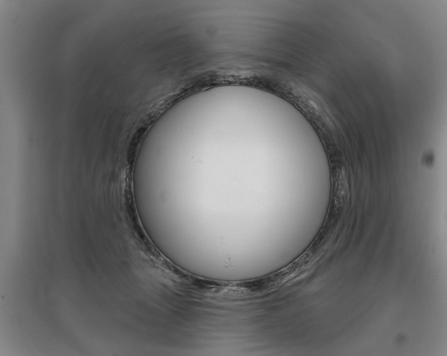 X0000095920463200801110859