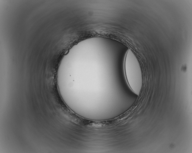 X0000095920464200801110859
