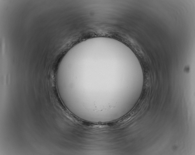 X0000095920465200801110859