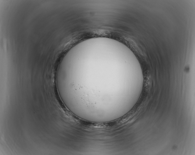 X0000095920466200801110859