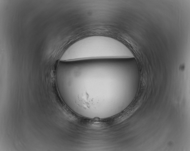 X0000095920467200801110859