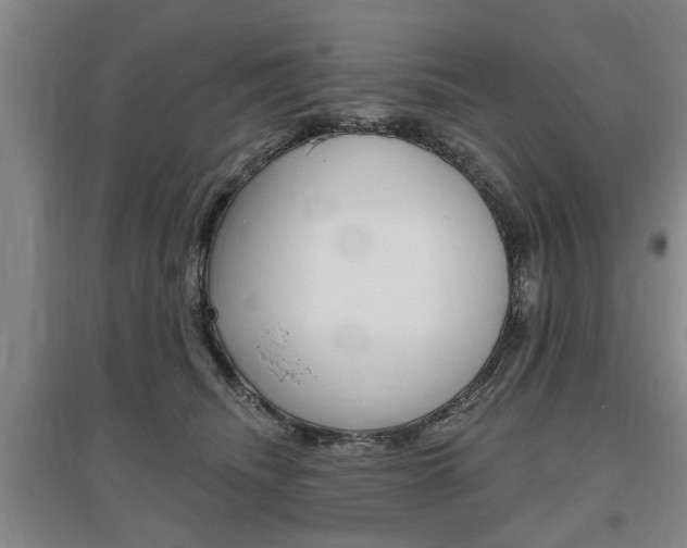 X0000095920468200801110859