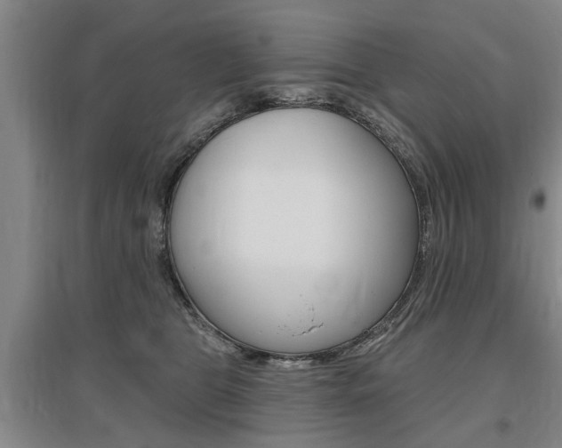 X0000095920469200801110859