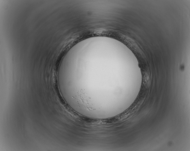 X0000095920470200801110859