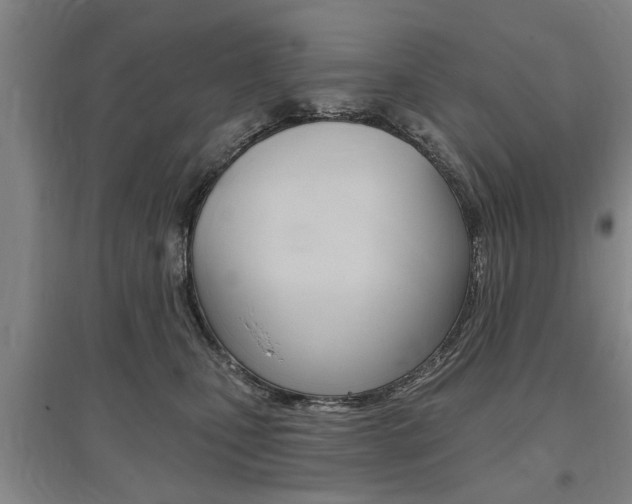 X0000095920471200801110859