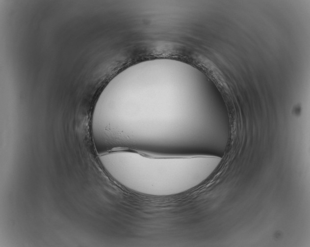X0000095920473200801110859