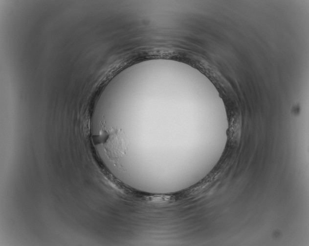 X0000095920474200801110859