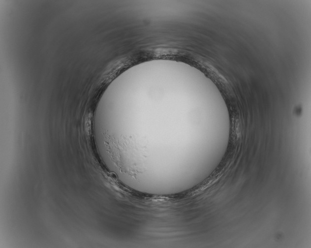 X0000095920475200801110859