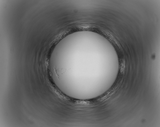 X0000095920476200801110859