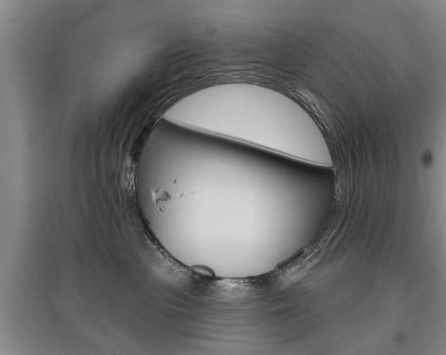 X0000095920477200801110859