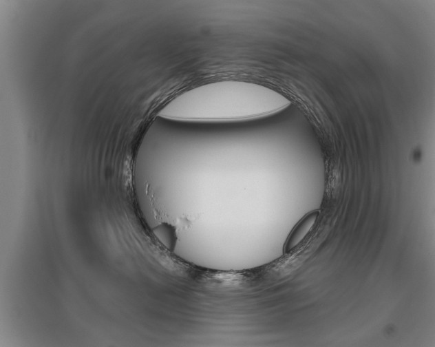 X0000095920478200801110859