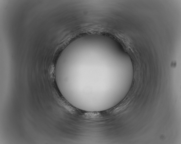 X0000095920480200801110859