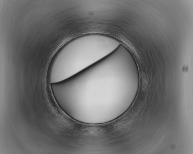 X0000095920482200801110858
