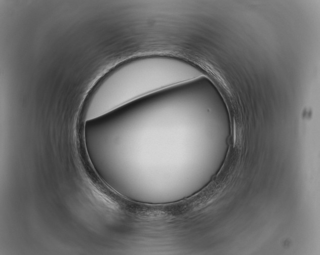 X0000095920483200801110858
