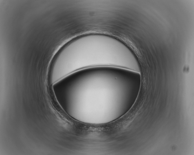 X0000095920484200801110858