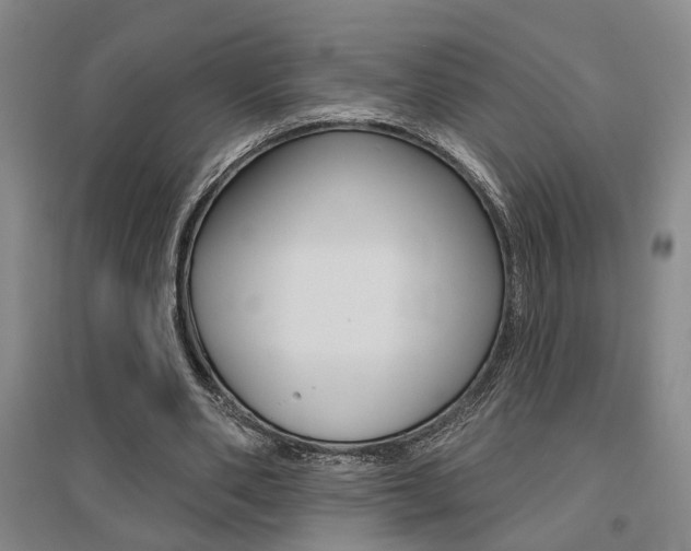 X0000095920486200801110858