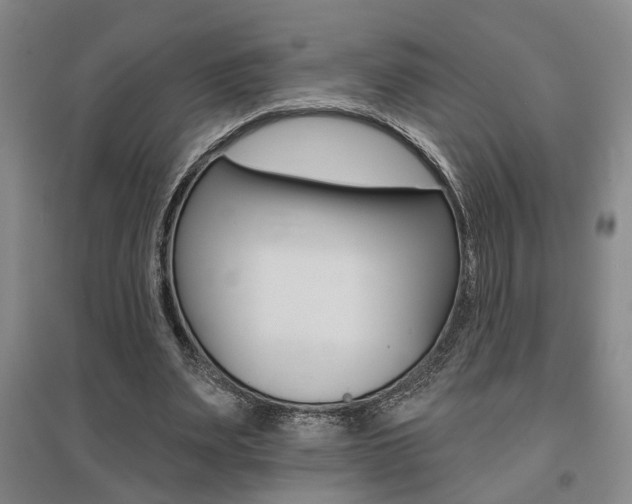 X0000095920487200801110858