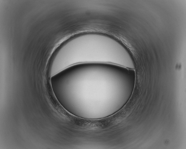 X0000095920488200801110858
