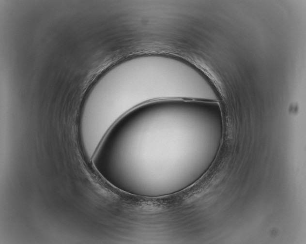 X0000095920489200801110858