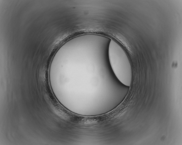 X0000095920491200801110858