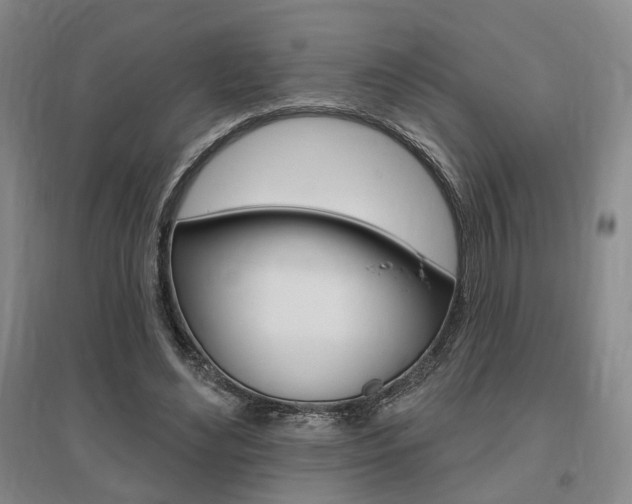 X0000095920492200801110858