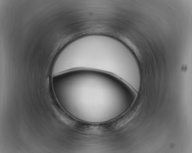 X0000095920493200801110858