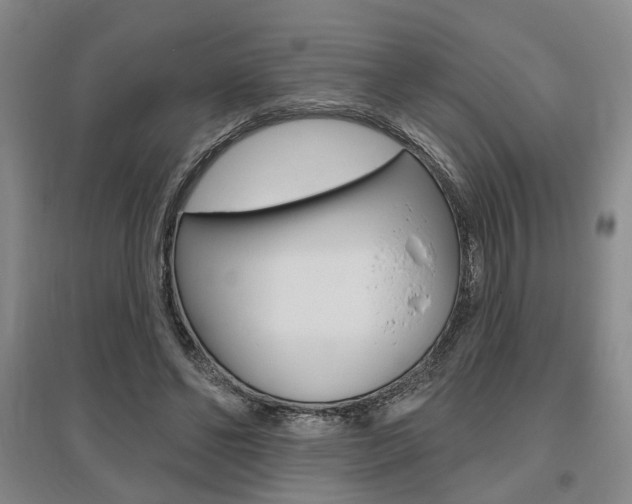 X0000095920494200801110858