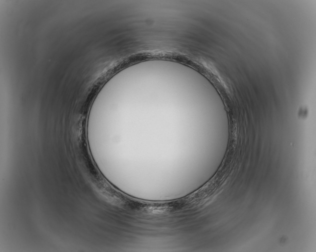 X0000095920495200801110858