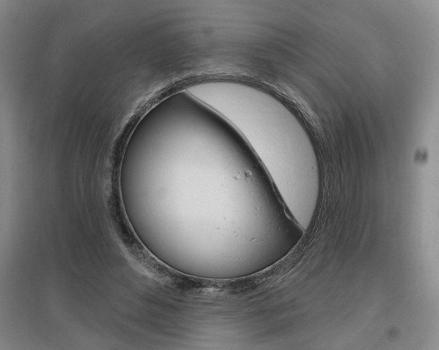 X0000095920496200801110858