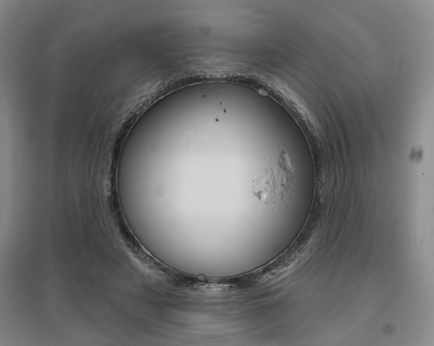 X0000095920497200801110858