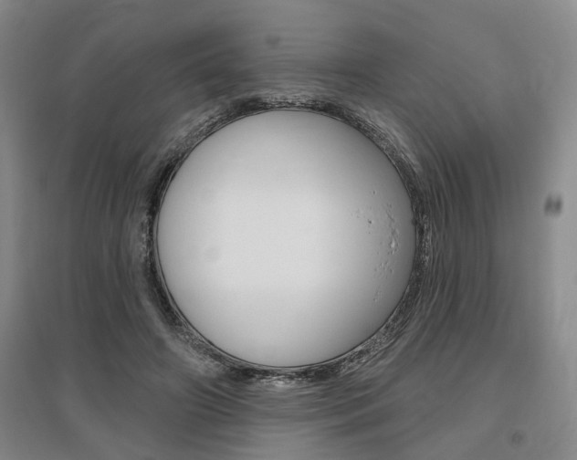 X0000095920498200801110858