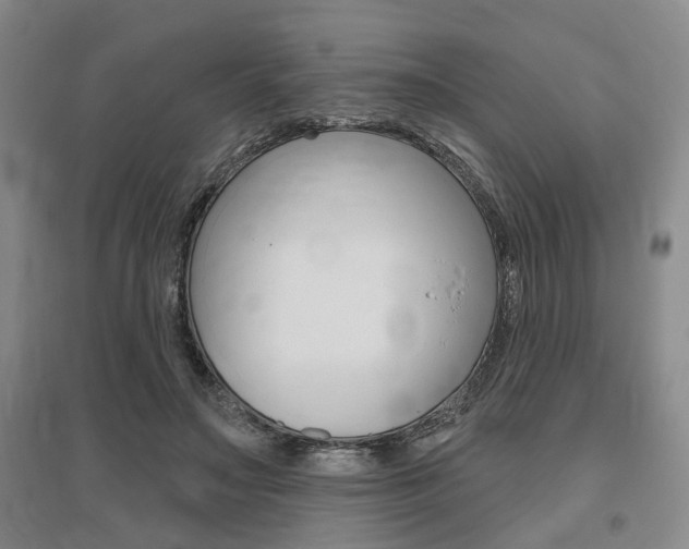 X0000095920499200801110858
