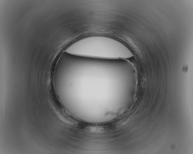 X0000095920500200801110858