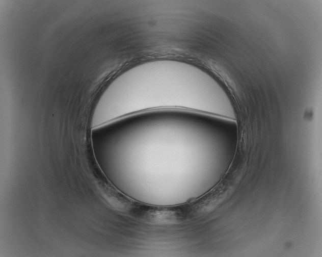 X0000095920501200801110858