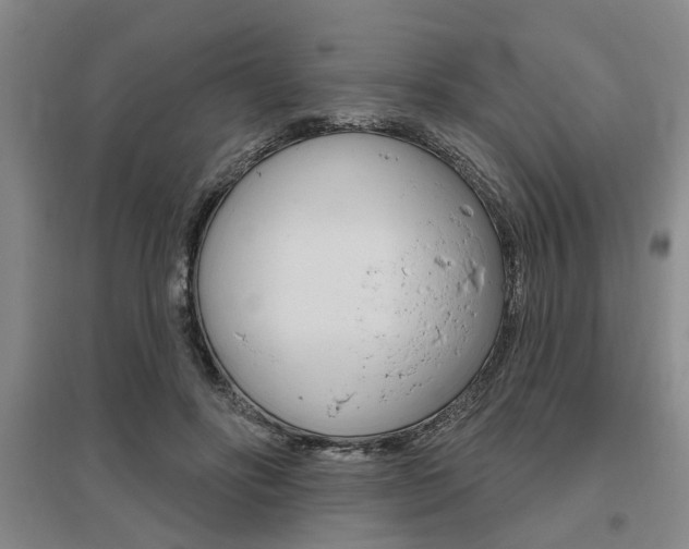 X0000095920502200801110858