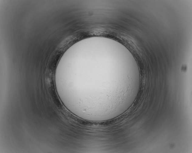 X0000095920503200801110858