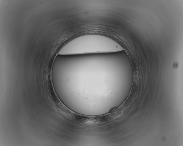 X0000095920504200801110858