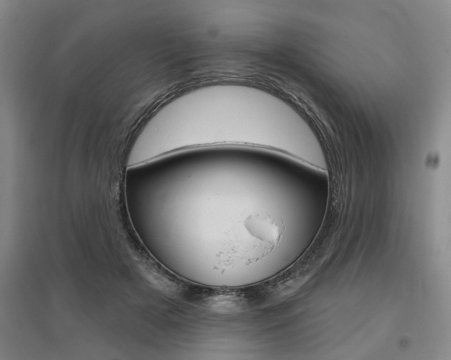 X0000095920505200801110858
