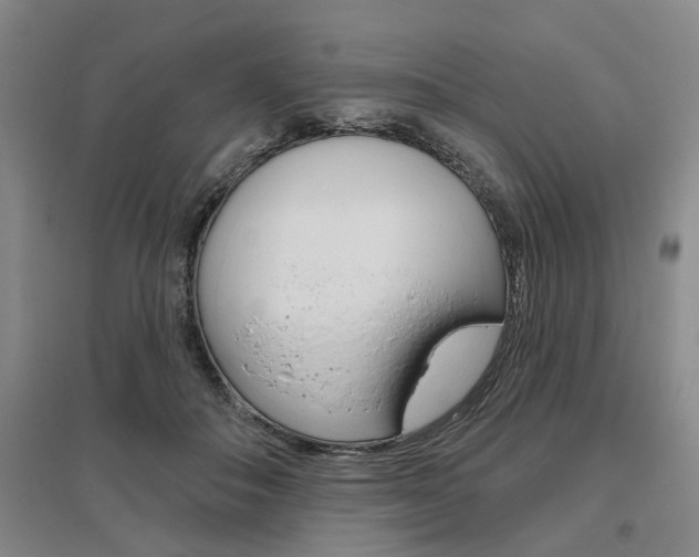 X0000095920506200801110858