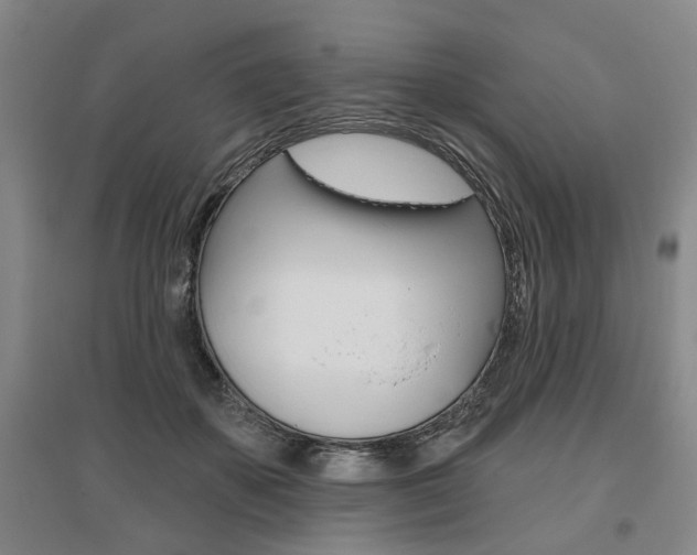 X0000095920507200801110858