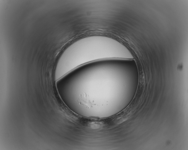 X0000095920508200801110858