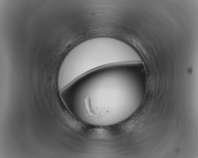 X0000095920509200801110858
