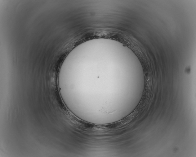 X0000095920510200801110858