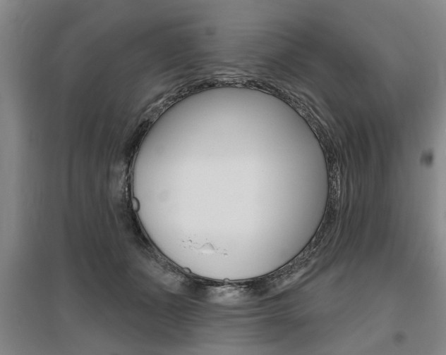 X0000095920511200801110858