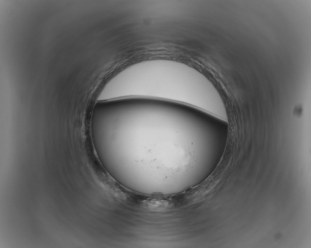 X0000095920512200801110858