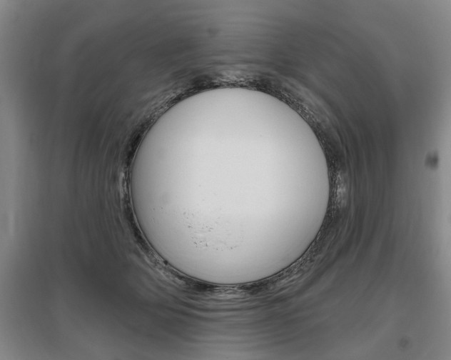 X0000095920514200801110858