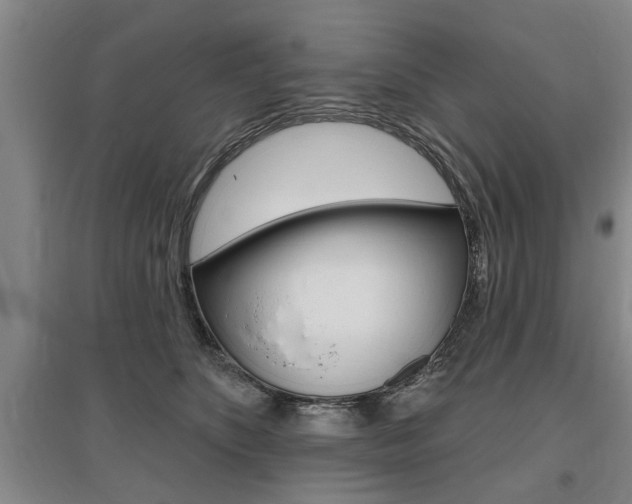 X0000095920516200801110858